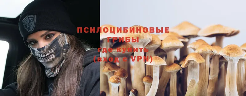 Псилоцибиновые грибы MAGIC MUSHROOMS  цена   Старая Русса 