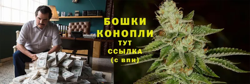 Каннабис White Widow  сайты даркнета клад  Старая Русса  наркотики 